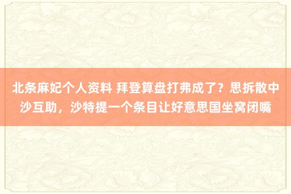 北条麻妃个人资料 拜登算盘打弗成了？思拆散中沙互助，沙特提一个条目让好意思国坐窝闭嘴