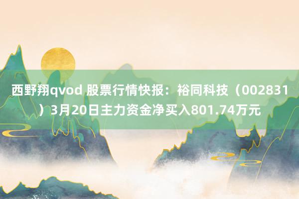 西野翔qvod 股票行情快报：裕同科技（002831）3月20日主力资金净买入801.74万元