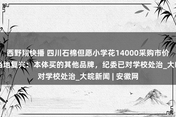 西野翔快播 四川石棉但愿小学花14000采购市价600多相机？当地复兴：本体买的其他品牌，纪委已对学校处治_大皖新闻 | 安徽网