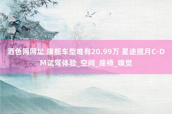 酒色网网址 旗舰车型唯有20.99万 星途揽月C-DM试驾体验_空间_座椅_嗅觉