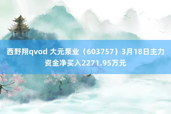 西野翔qvod 大元泵业（603757）3月18日主力资金净买入2271.95万元