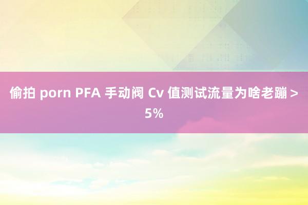 偷拍 porn PFA 手动阀 Cv 值测试流量为啥老蹦＞5%
