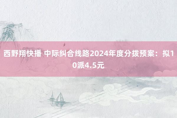 西野翔快播 中际纠合线路2024年度分拨预案：拟10派4.5元